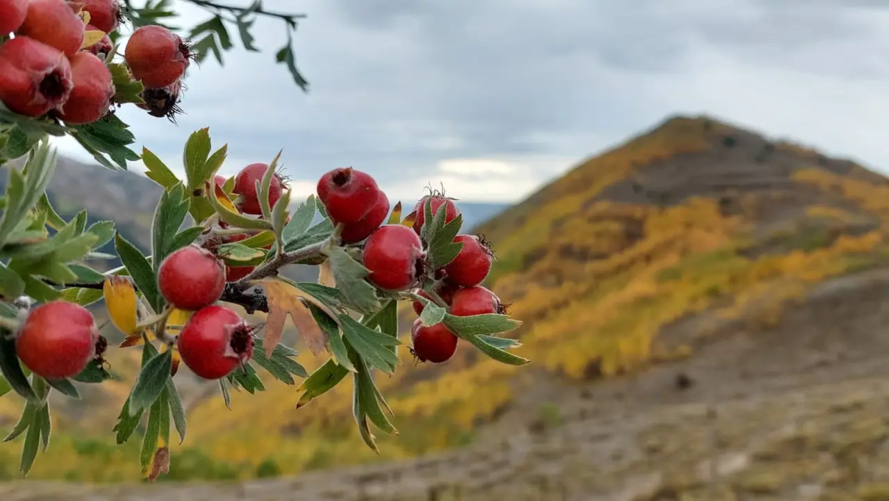 GÜDAK’tan Sonbaharın Renkleriyle Dolu Bir Doğa Yürüyüşü 22