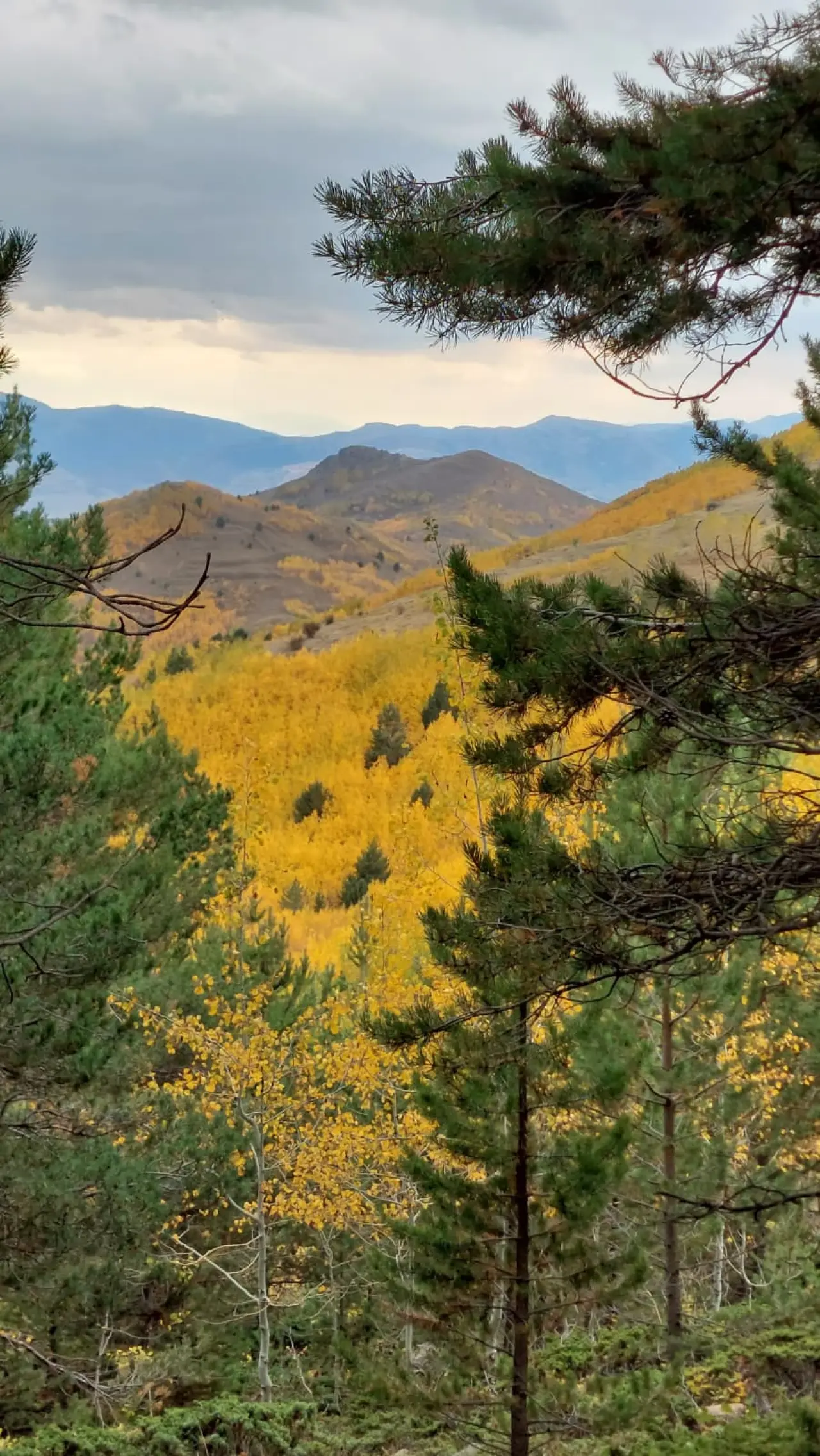 GÜDAK’tan Sonbaharın Renkleriyle Dolu Bir Doğa Yürüyüşü 20