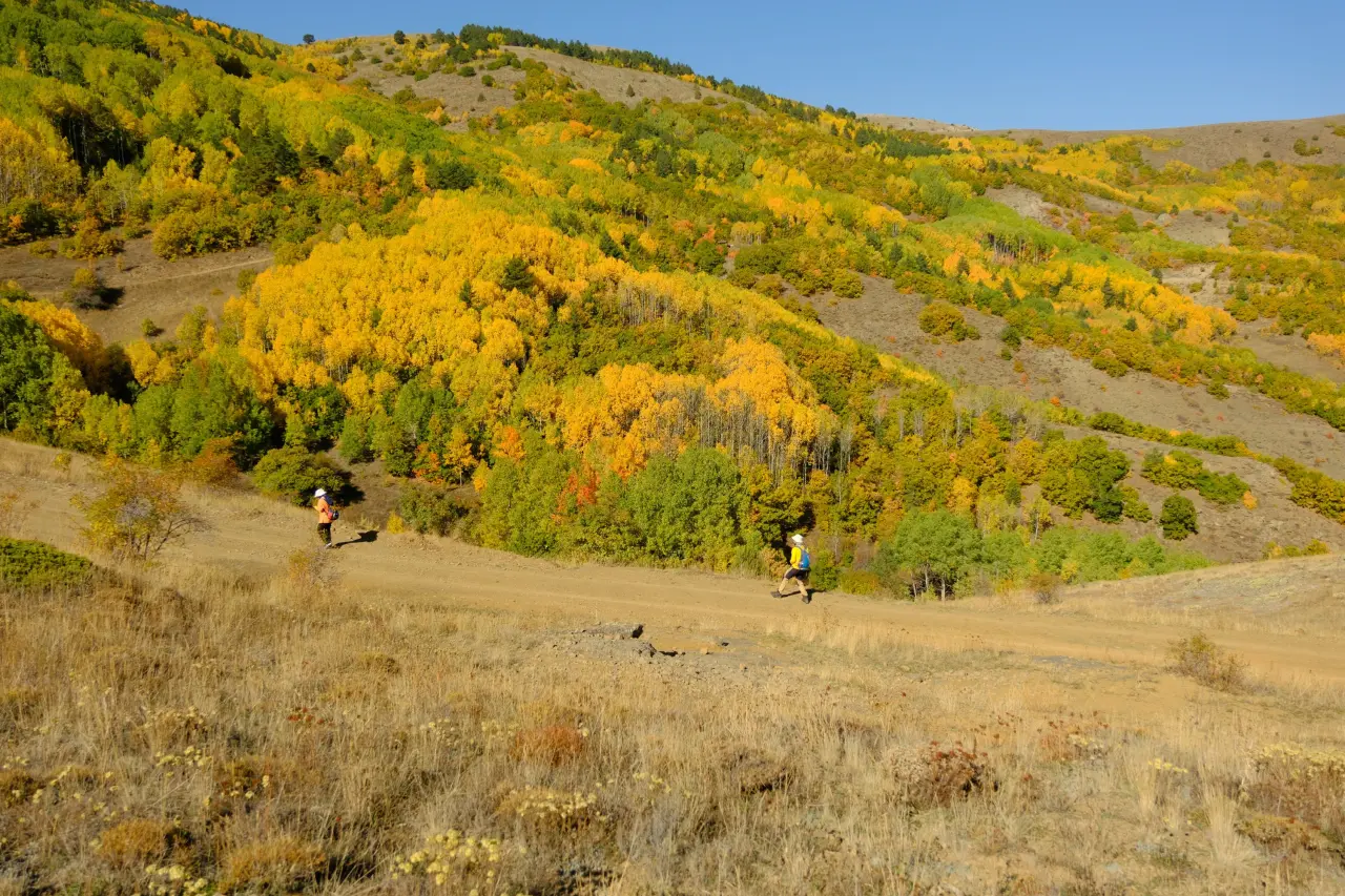 "Sonbaharın Başkenti" Gümüşhane renk cümbüşüne döndü 8