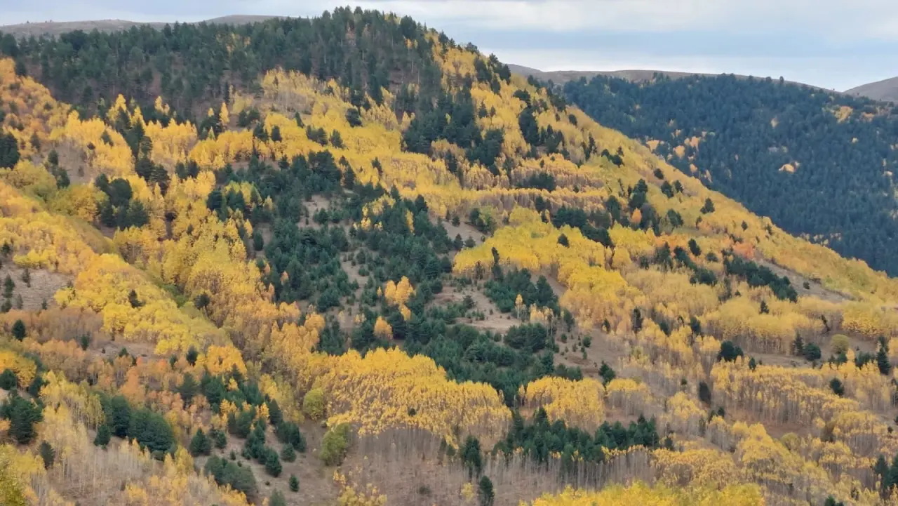 GÜDAK’tan Sonbaharın Renkleriyle Dolu Bir Doğa Yürüyüşü 9