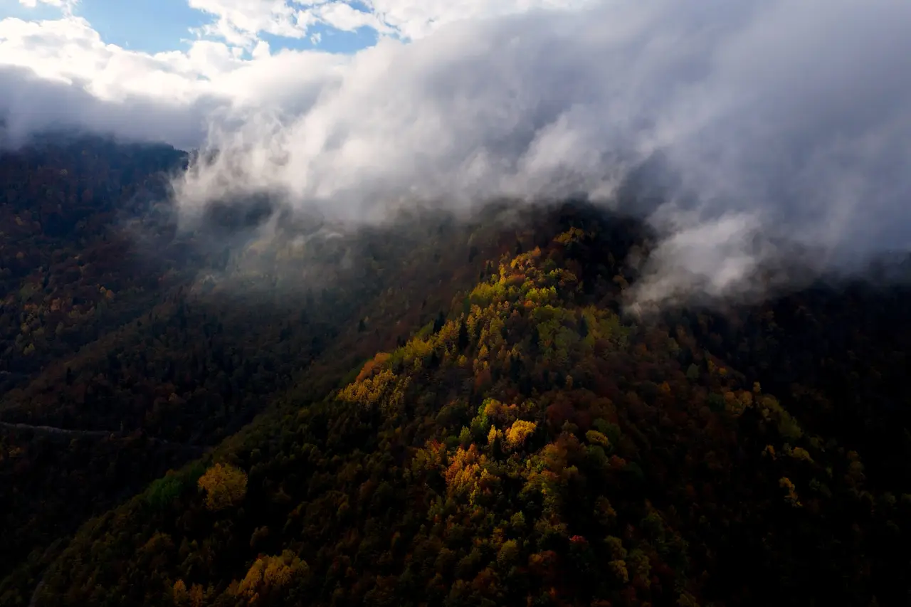 Örümcek Ormanları'nda Sonbahar Büyüsü: Görenleri Hayran Bırakıyor! 35