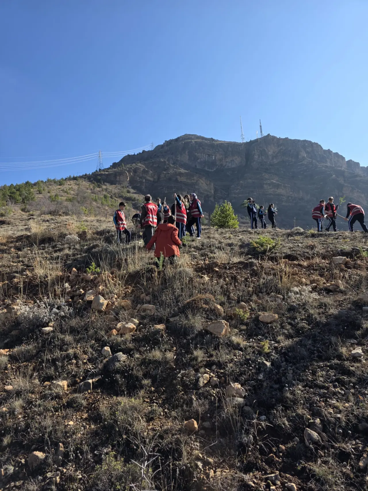 Şehitlerin aziz hatırası ve Gazze’nin umudu toprakla buluştu 14