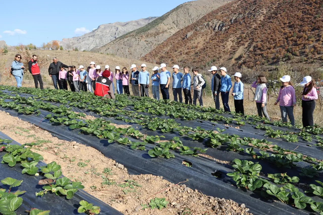 Gümüşhane’de Lider Çocuklar Tarımı Yerinde Öğrendi 19