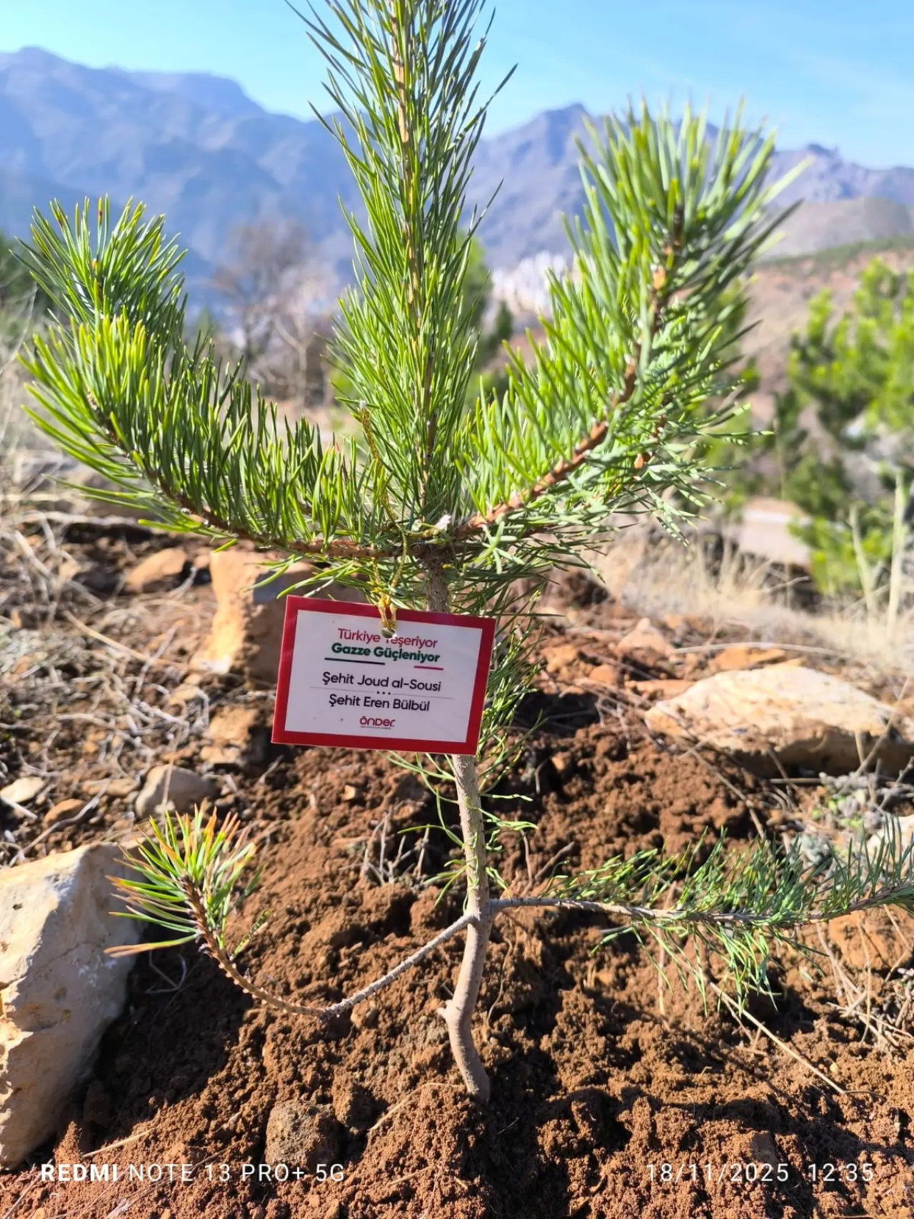 Şehitlerin aziz hatırası ve Gazze’nin umudu toprakla buluştu 17