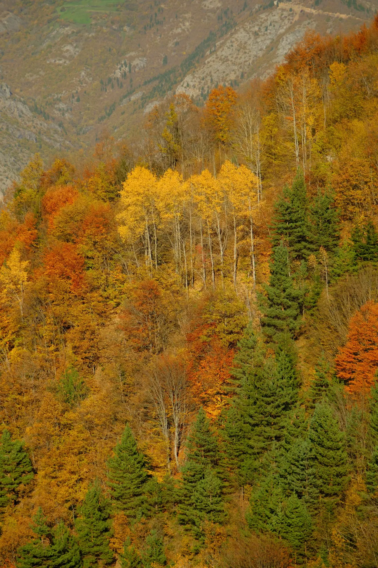 Hafta sonları onlar için bir doğal terapi gibi geçiyor 18