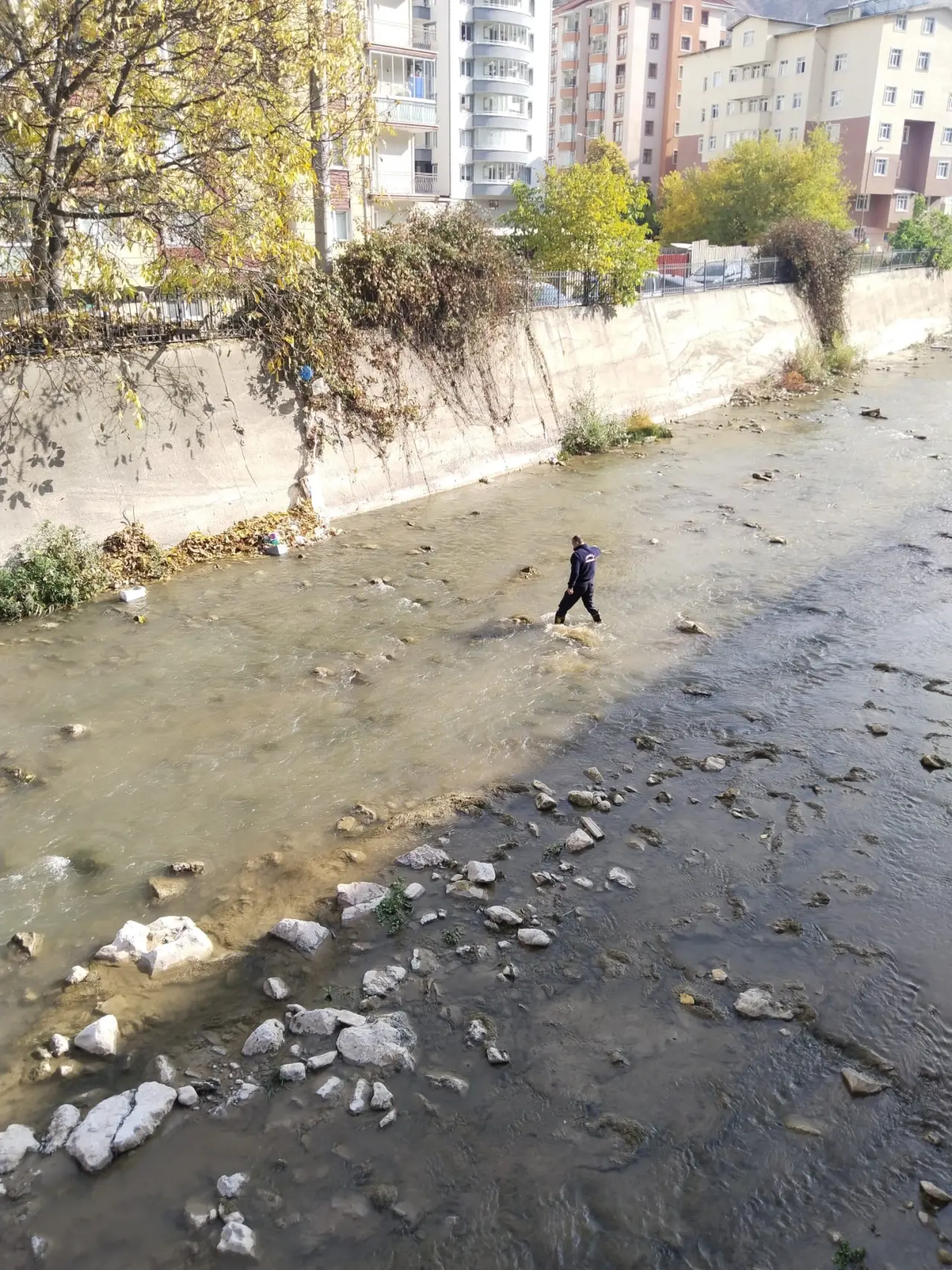 Harşit Çayı'na düşen tavuğu itfaiye kurtardı 3