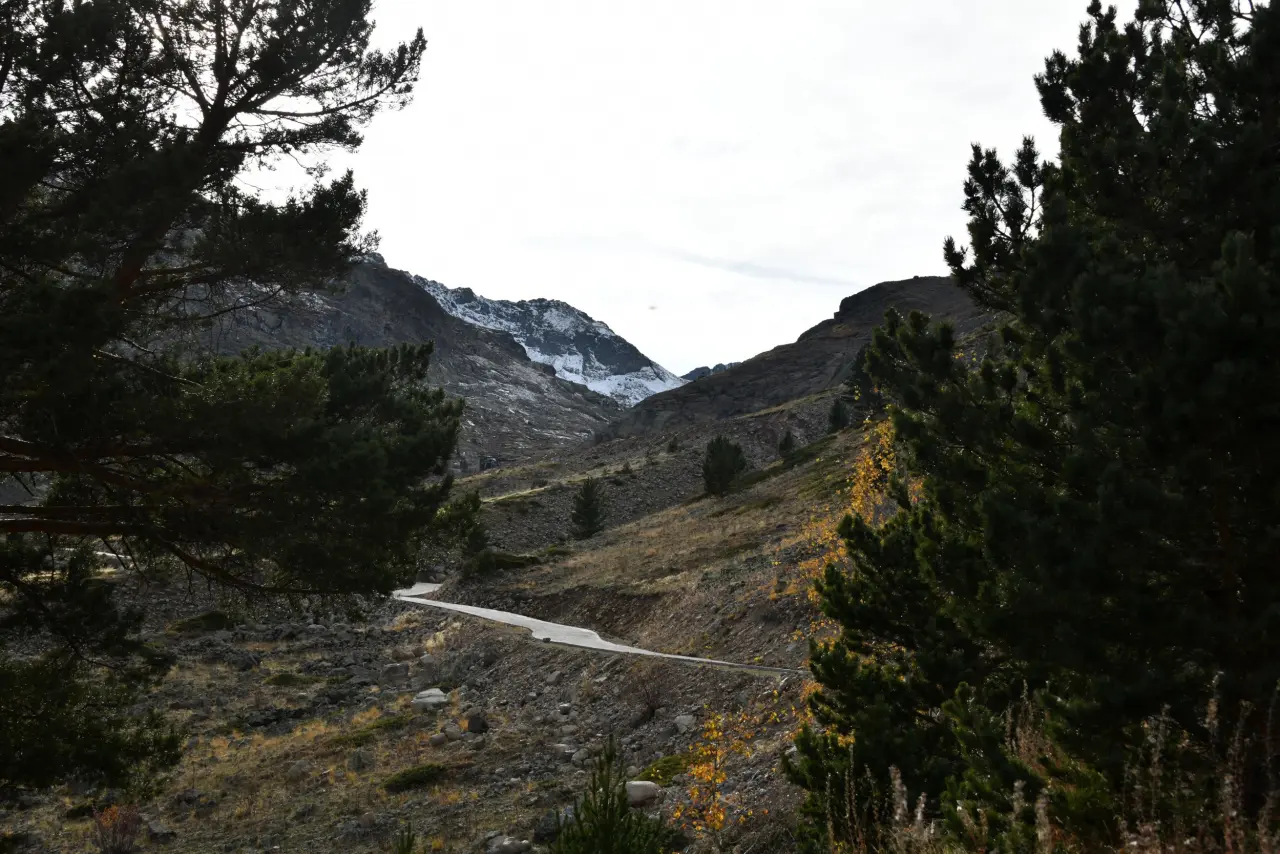 Vali Baruş, Artabel Gölleri Tabiat Parkı yolunda incelemelerde bulundu 5