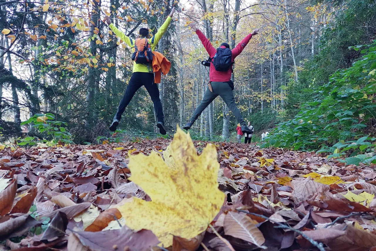Gümüşhane'nin "Doğal Ağaç Müzesi” ziyaretçi akınına uğradı 2