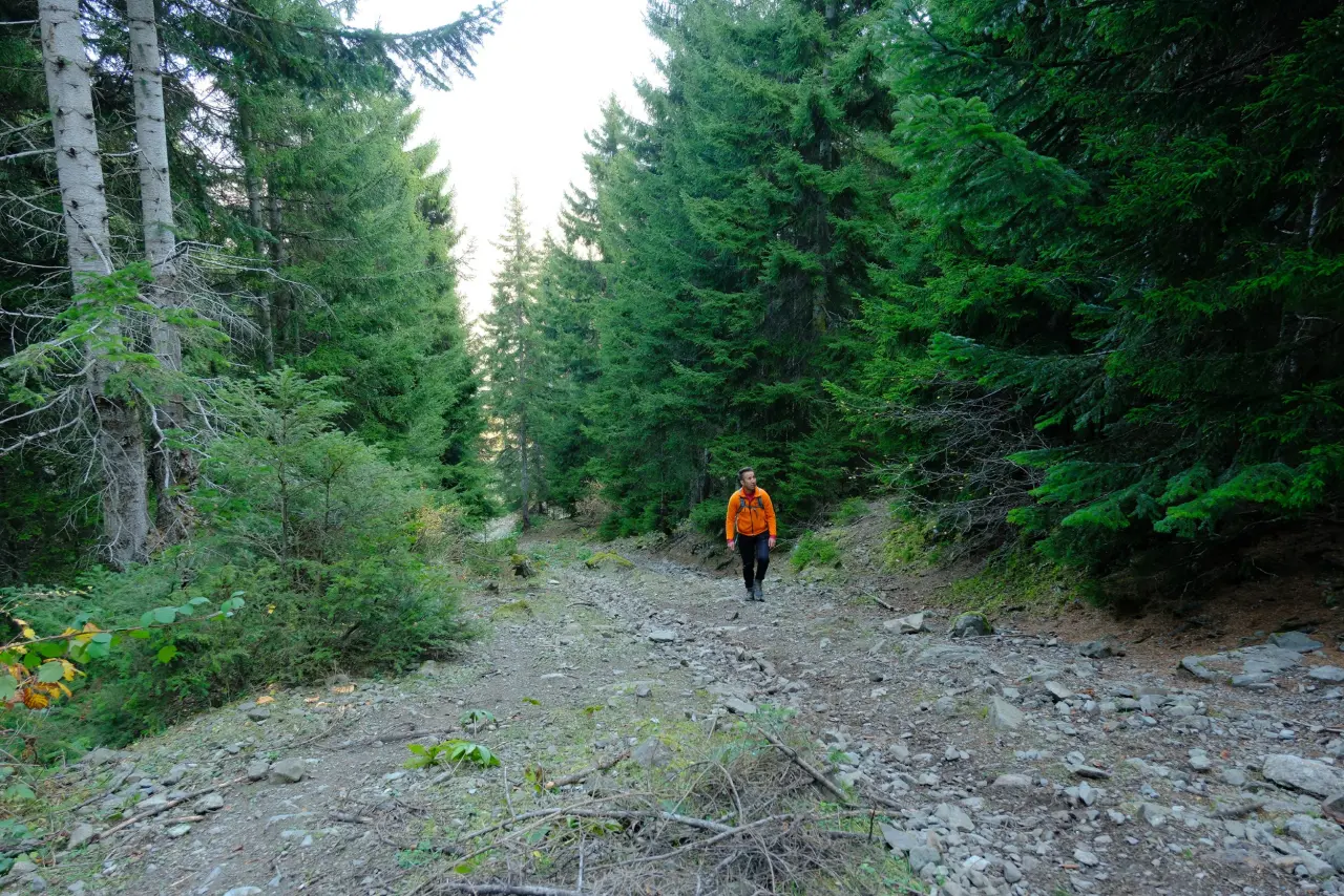 Hafta sonları onlar için bir doğal terapi gibi geçiyor 5