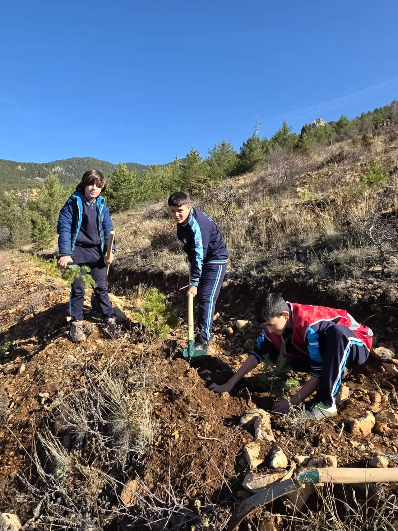 Şehitlerin aziz hatırası ve Gazze’nin umudu toprakla buluştu 15