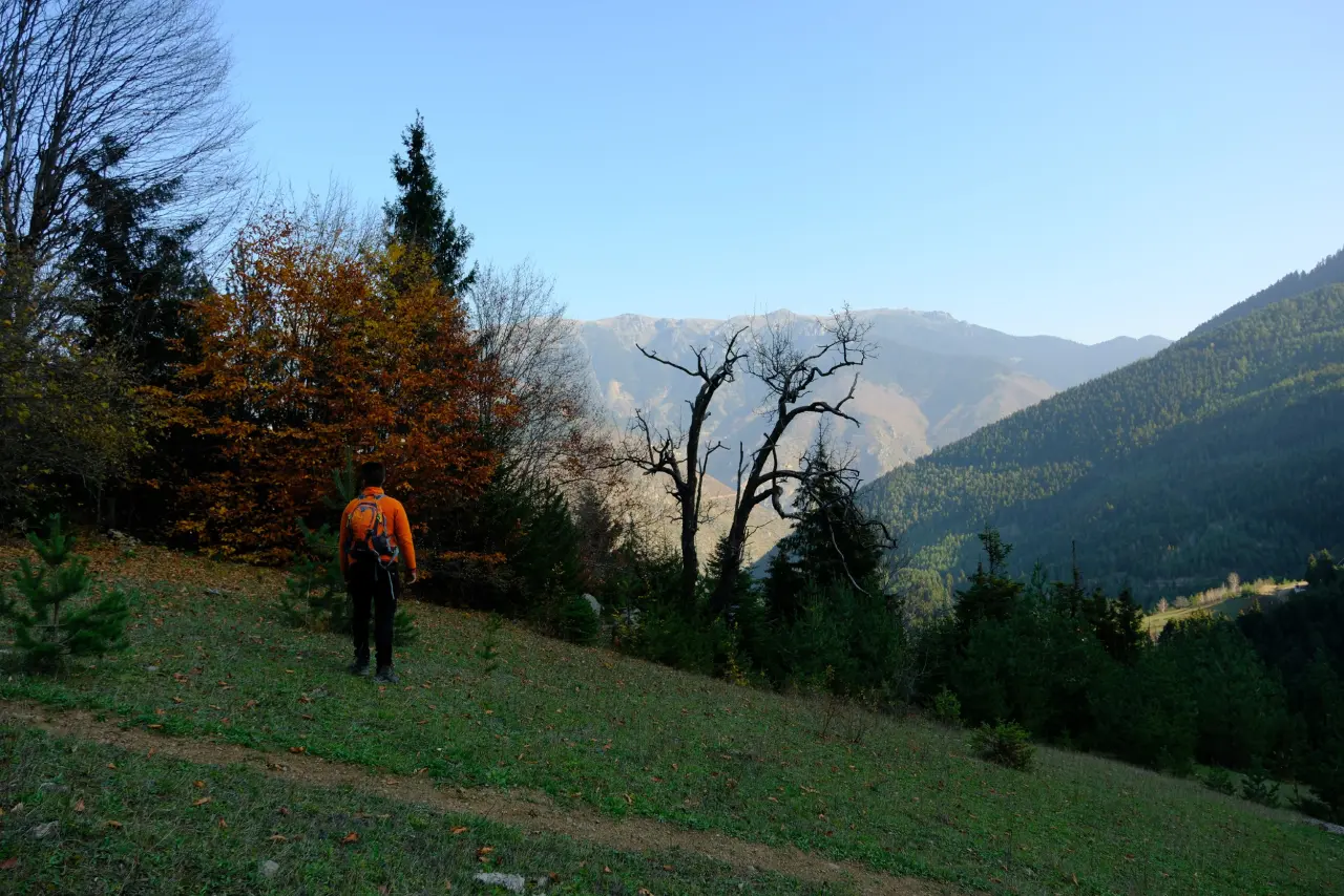 Hafta sonları onlar için bir doğal terapi gibi geçiyor 6