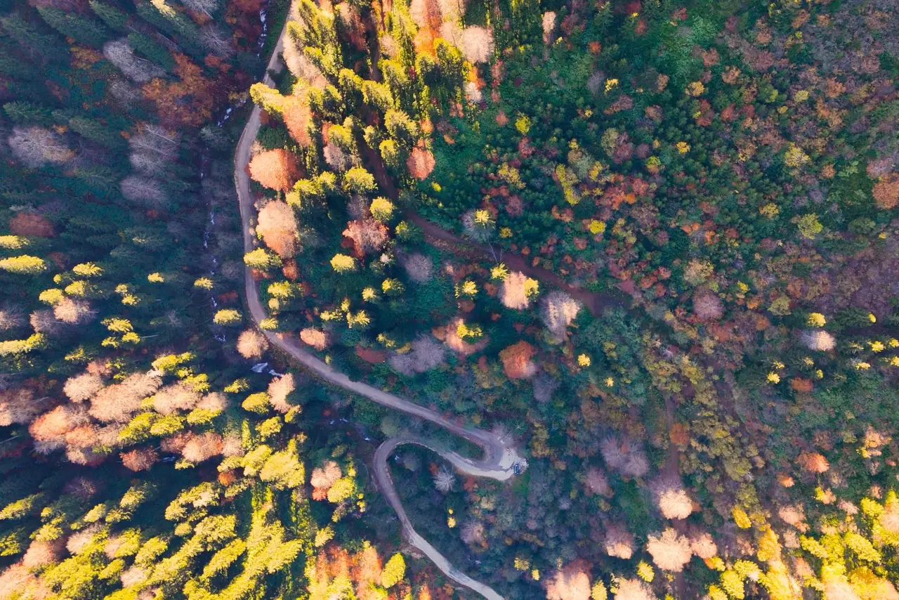 Gümüşhane'nin "Doğal Ağaç Müzesi” ziyaretçi akınına uğradı 30