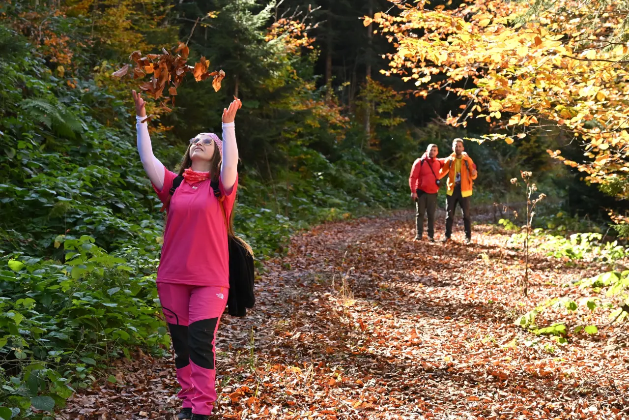 Gümüşhane'nin "Doğal Ağaç Müzesi” ziyaretçi akınına uğradı 3