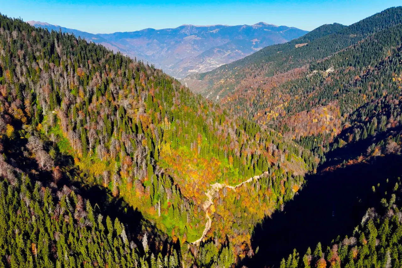 Gümüşhane'nin "Doğal Ağaç Müzesi” ziyaretçi akınına uğradı 17