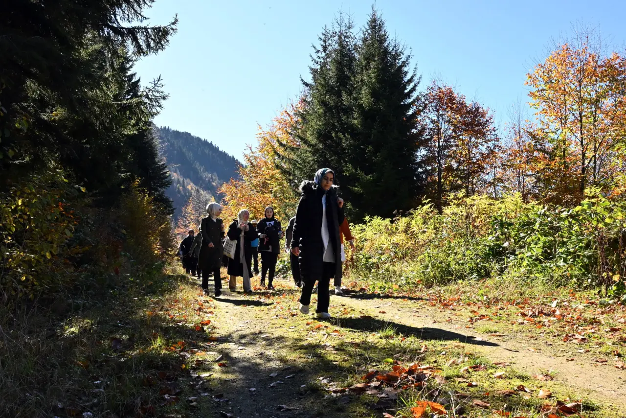 Gümüşhane'nin "Doğal Ağaç Müzesi” ziyaretçi akınına uğradı 33