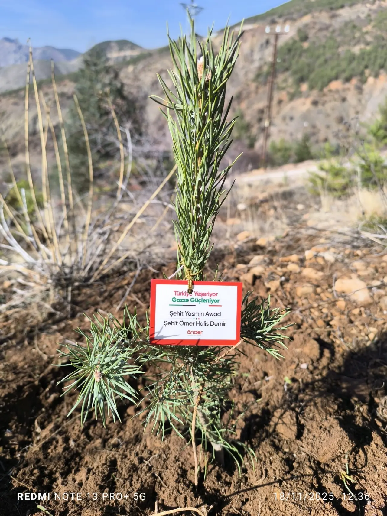 Şehitlerin aziz hatırası ve Gazze’nin umudu toprakla buluştu 16