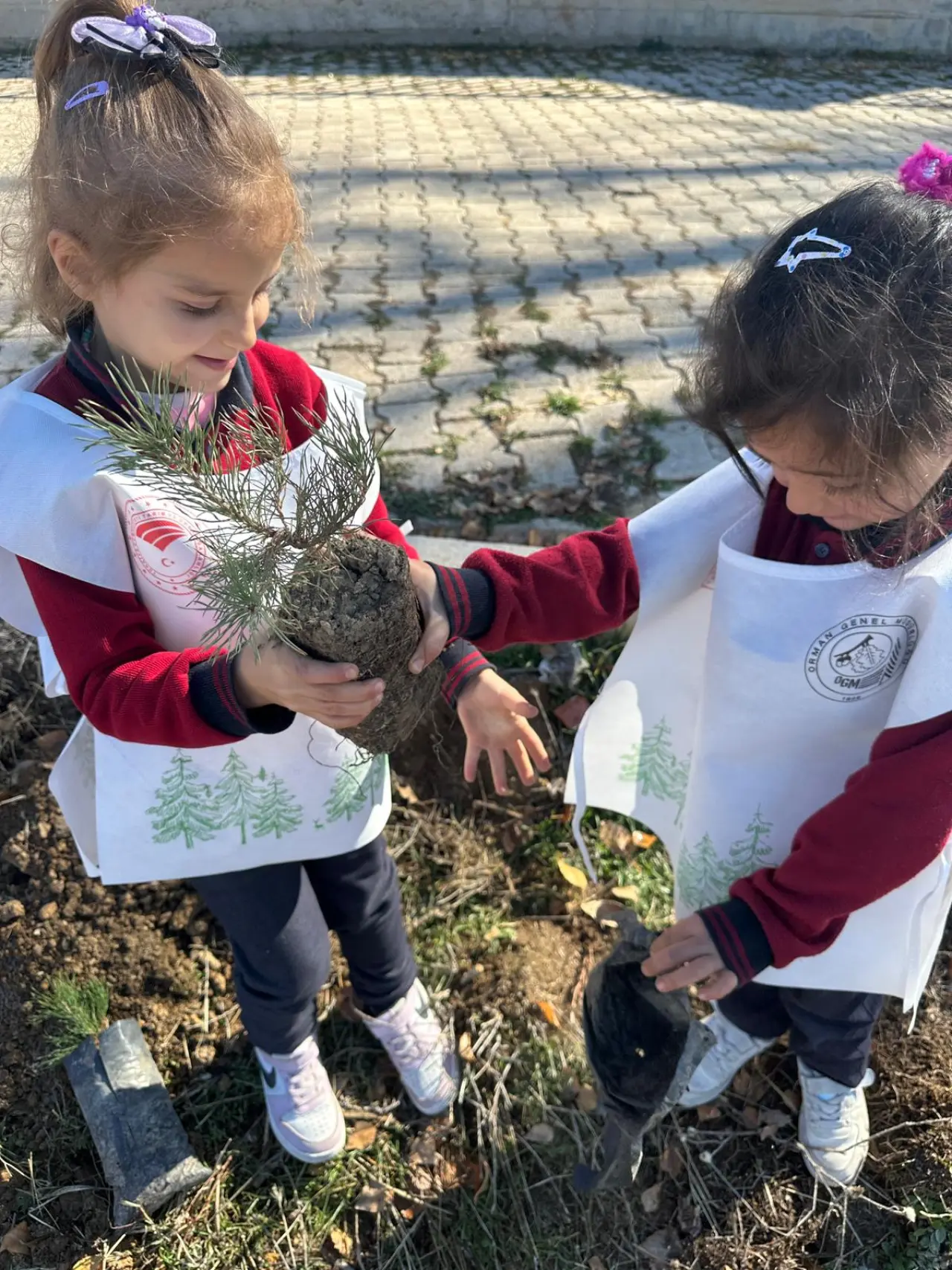 Gümüşgöze’den Şehitlere Vefa: Her Fidana Bir Kahramanın İsmi Verildi 3