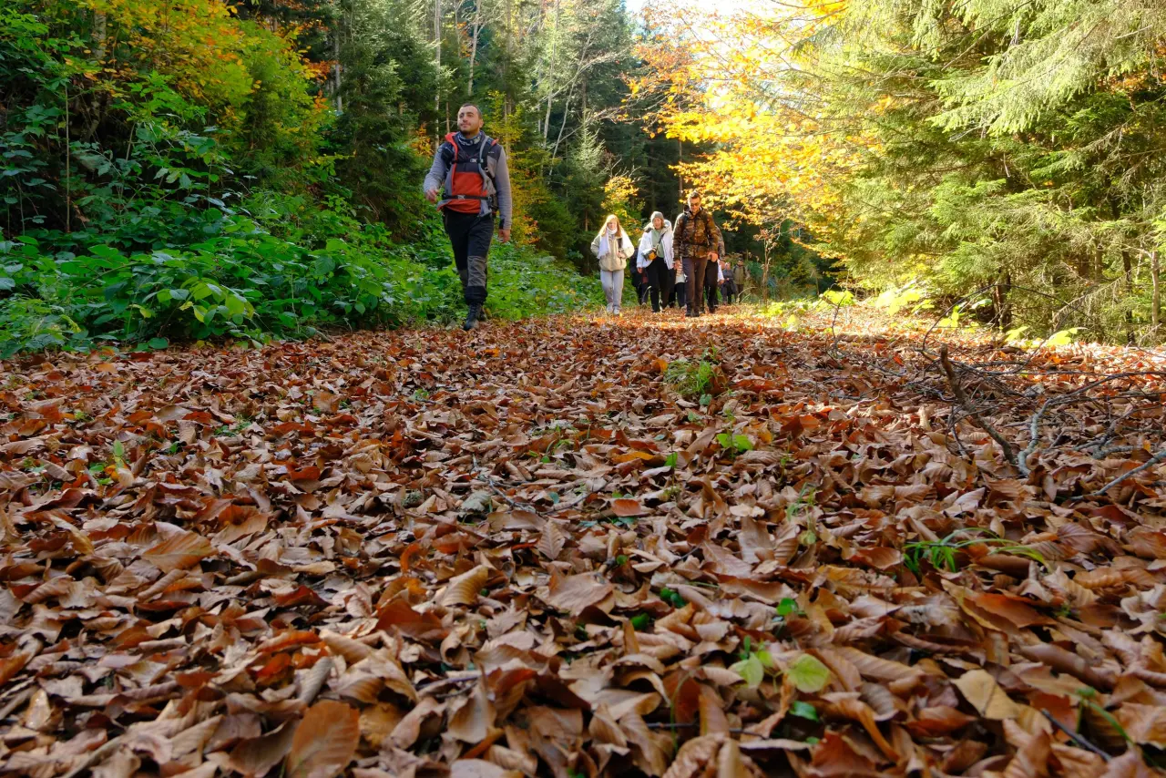 Gümüşhane'nin "Doğal Ağaç Müzesi” ziyaretçi akınına uğradı 4