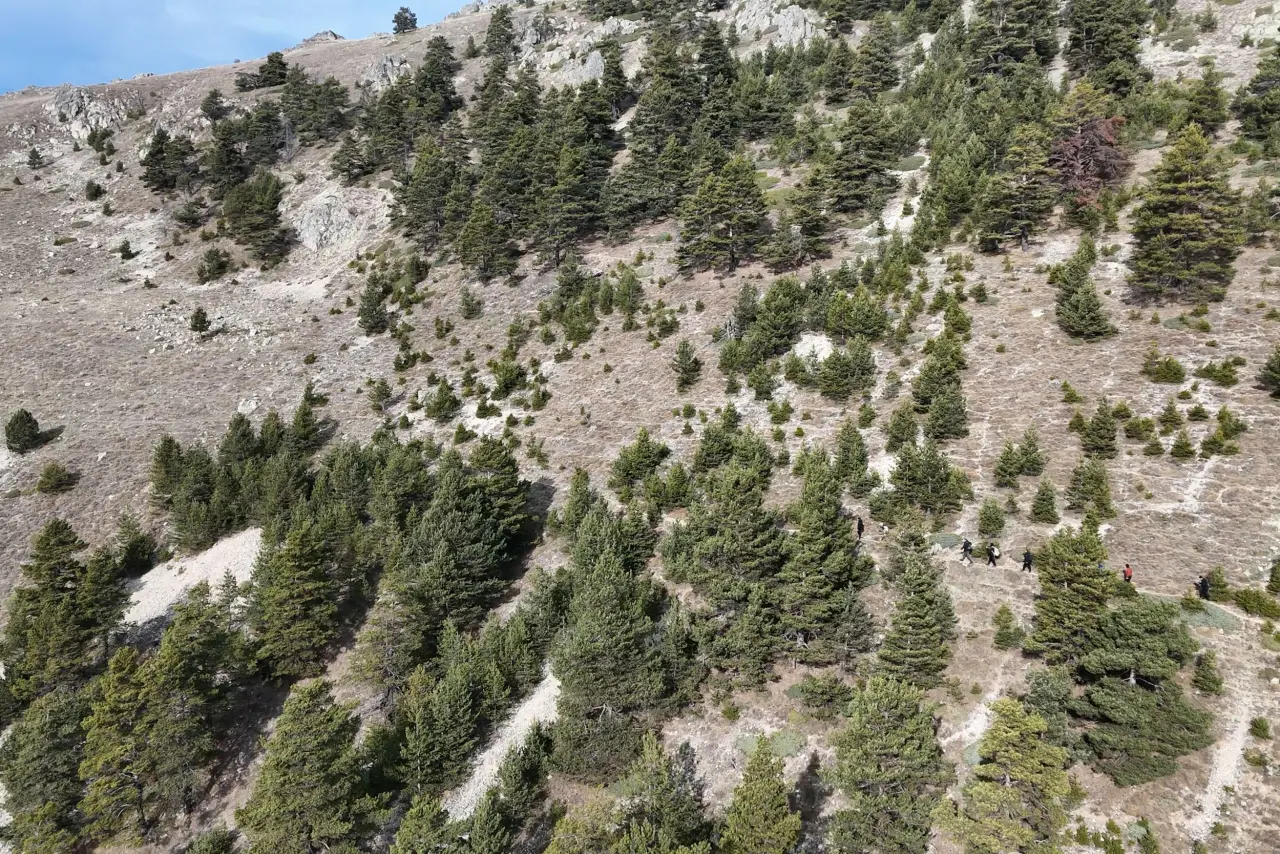 Zigana’dan Karaca’ya 300 yıllık göç yolunu arşınladılar 24