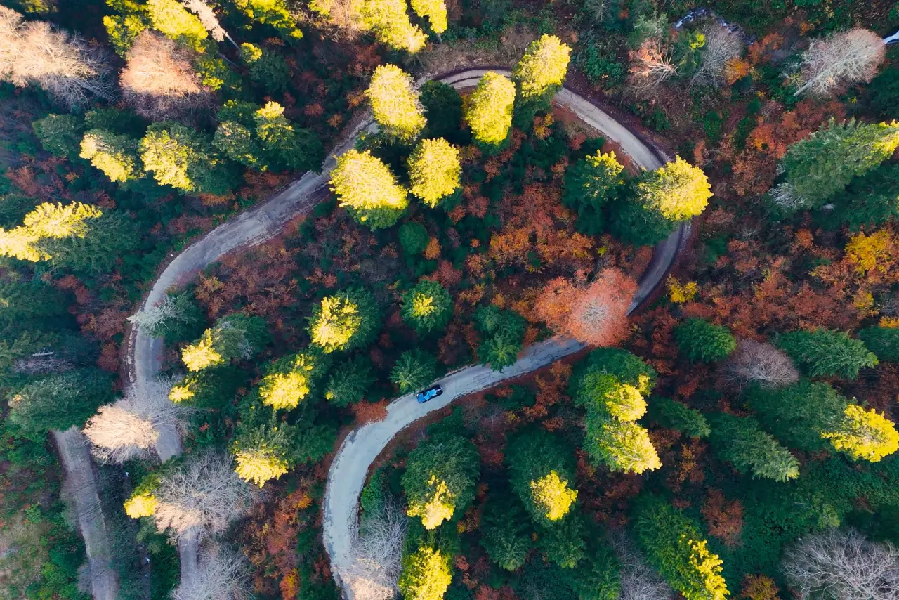 Gümüşhane'nin "Doğal Ağaç Müzesi” ziyaretçi akınına uğradı 14