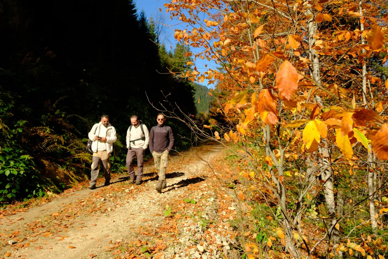 Gümüşhane'nin "Doğal Ağaç Müzesi” ziyaretçi akınına uğradı 9