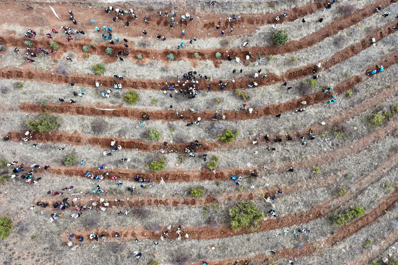 Gümüşhane'de “Yeşil Vatan Seferberliğinde” fidanlar toprakla buluştu 21