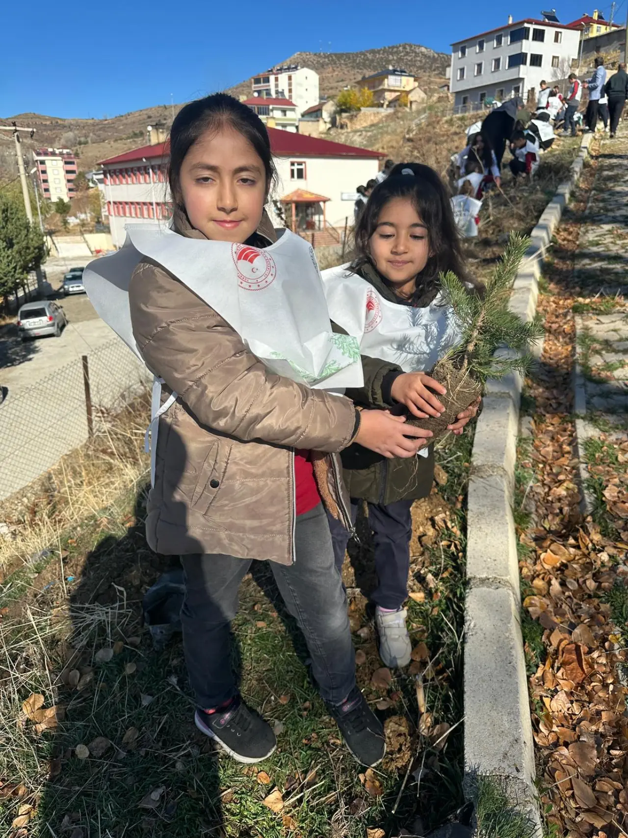 Gümüşgöze’den Şehitlere Vefa: Her Fidana Bir Kahramanın İsmi Verildi 5