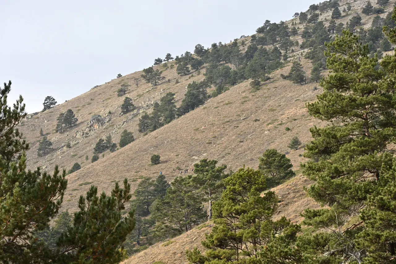 Zigana’dan Karaca’ya 300 yıllık göç yolunu arşınladılar 18