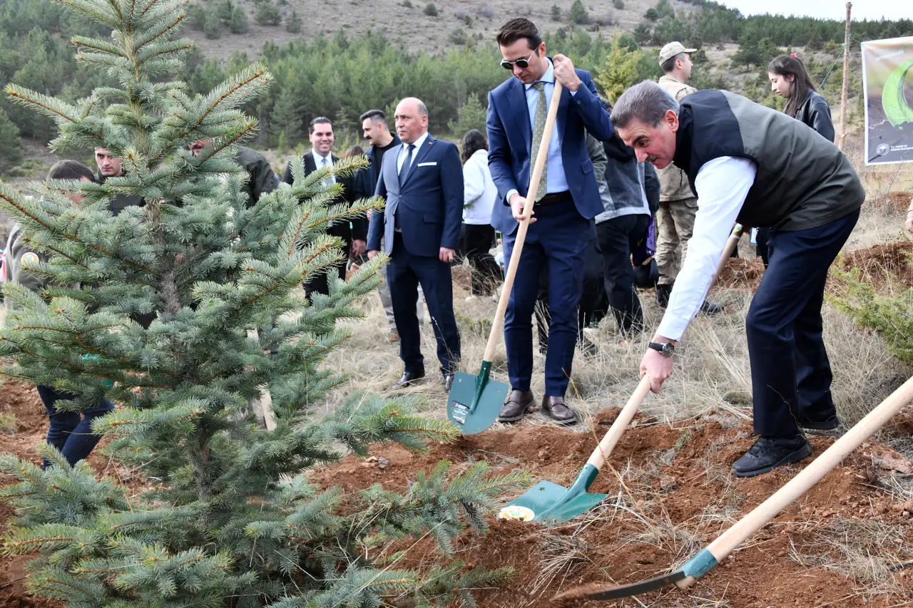 Gümüşhane'de “Yeşil Vatan Seferberliğinde” fidanlar toprakla buluştu 12
