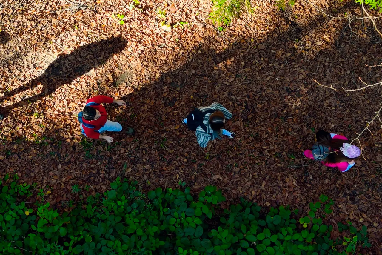 Gümüşhane'nin "Doğal Ağaç Müzesi” ziyaretçi akınına uğradı 26