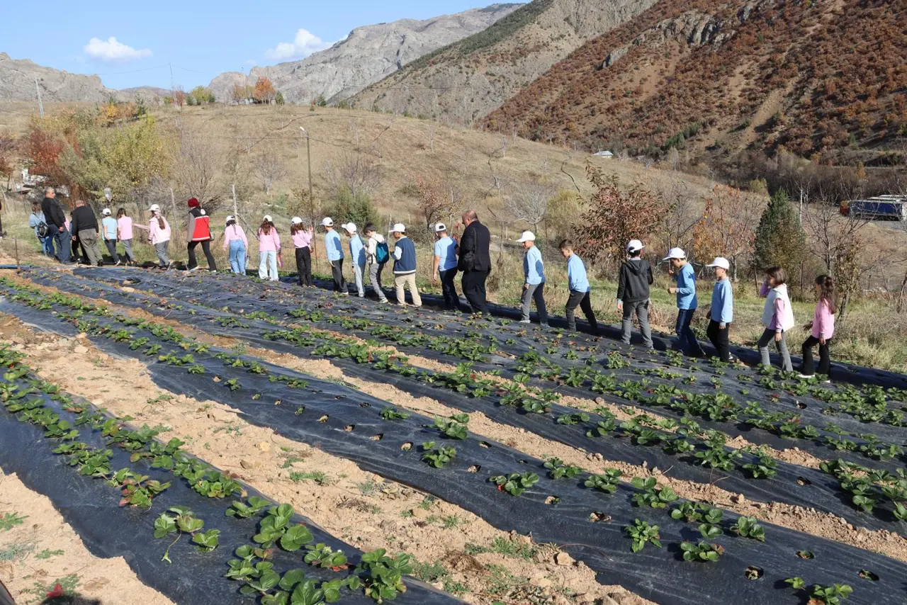 Gümüşhane’de Lider Çocuklar Tarımı Yerinde Öğrendi 22