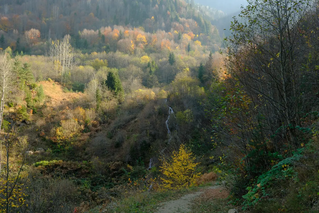 Hafta sonları onlar için bir doğal terapi gibi geçiyor 17