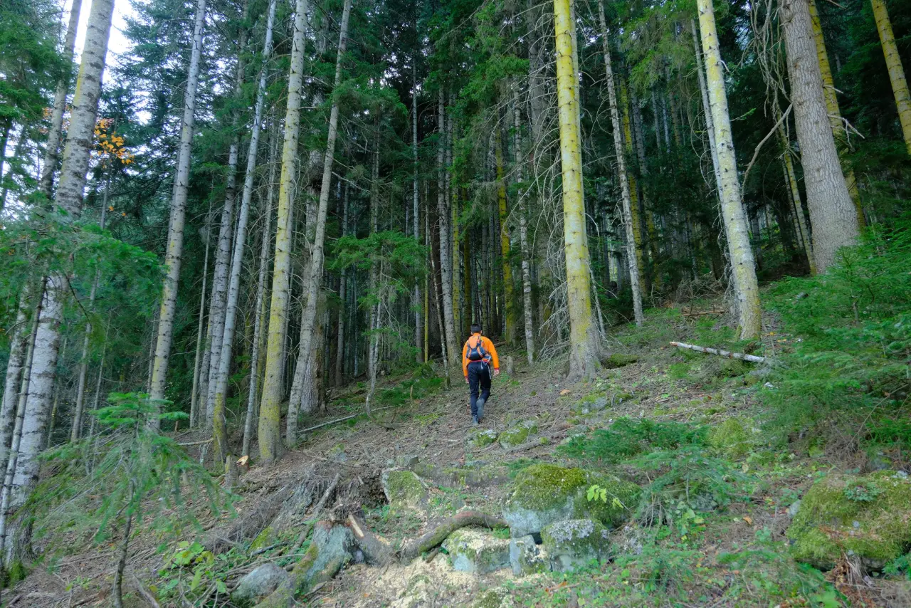 Hafta sonları onlar için bir doğal terapi gibi geçiyor 7