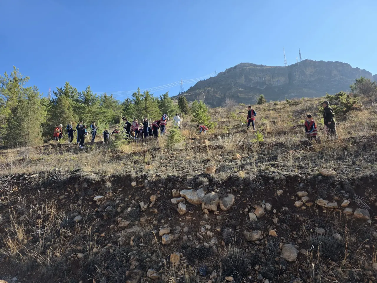 Şehitlerin aziz hatırası ve Gazze’nin umudu toprakla buluştu 5