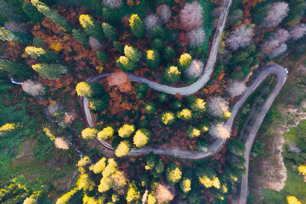 Gümüşhane'nin "Doğal Ağaç Müzesi” ziyaretçi akınına uğradı 16