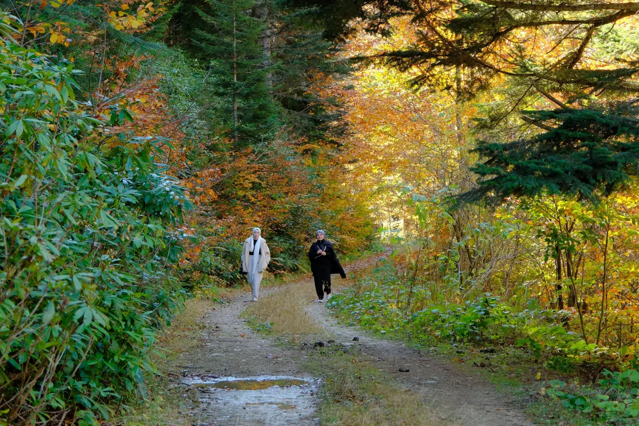 Gümüşhane'nin "Doğal Ağaç Müzesi” ziyaretçi akınına uğradı 22