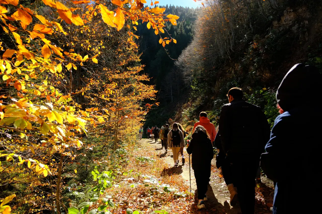 Gümüşhane'nin "Doğal Ağaç Müzesi” ziyaretçi akınına uğradı 10
