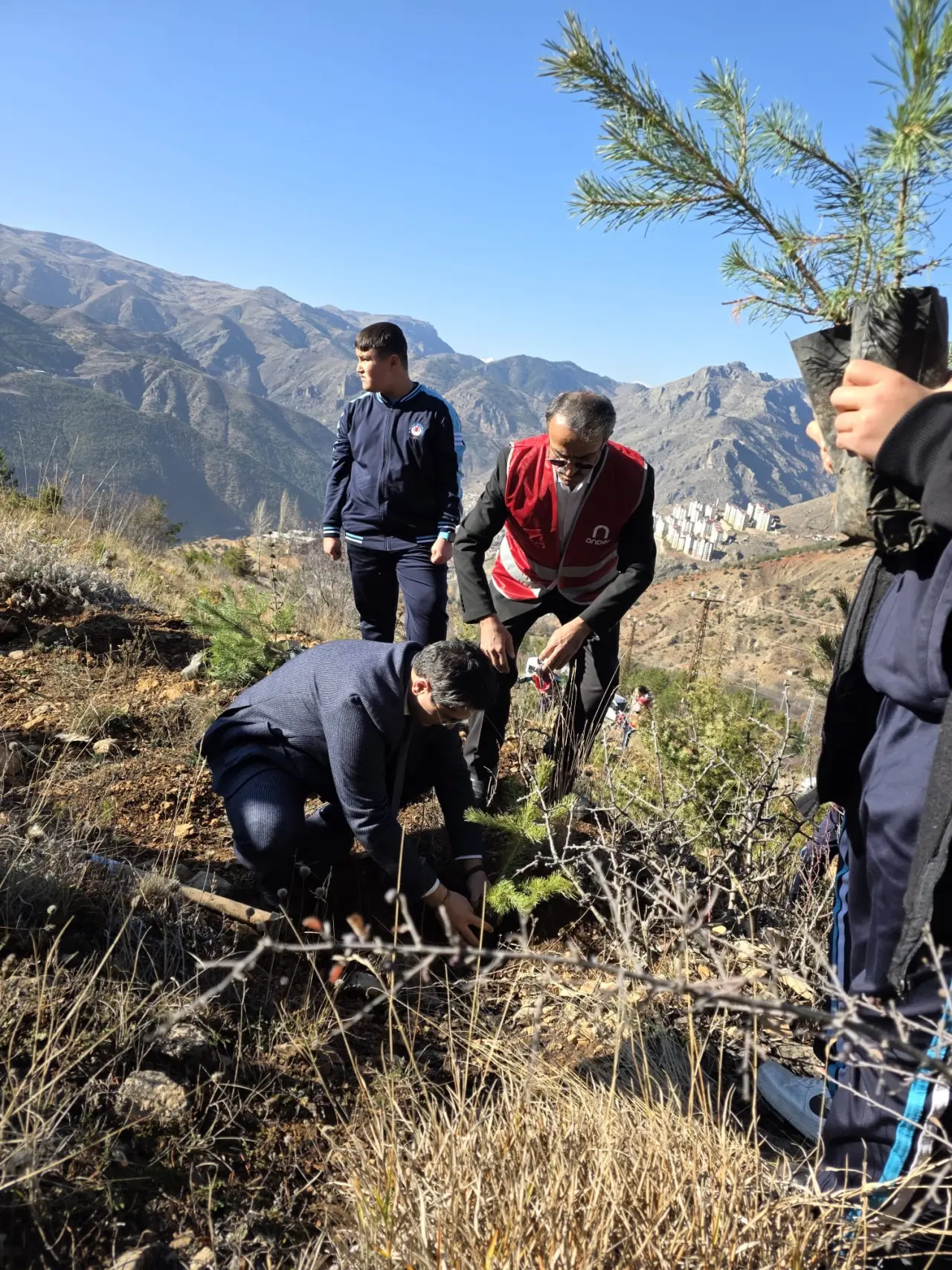 Şehitlerin aziz hatırası ve Gazze’nin umudu toprakla buluştu 6