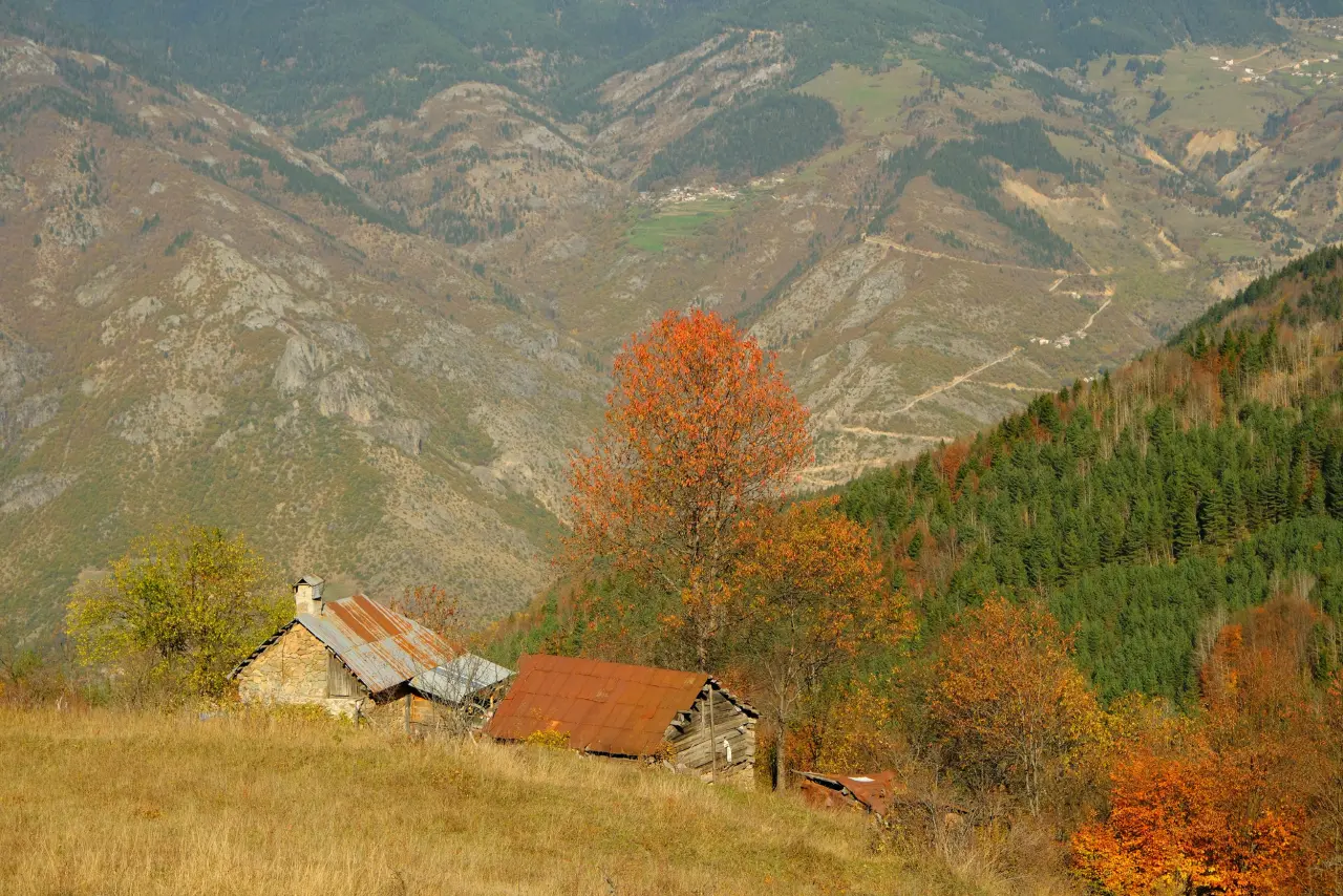 Hafta sonları onlar için bir doğal terapi gibi geçiyor 16