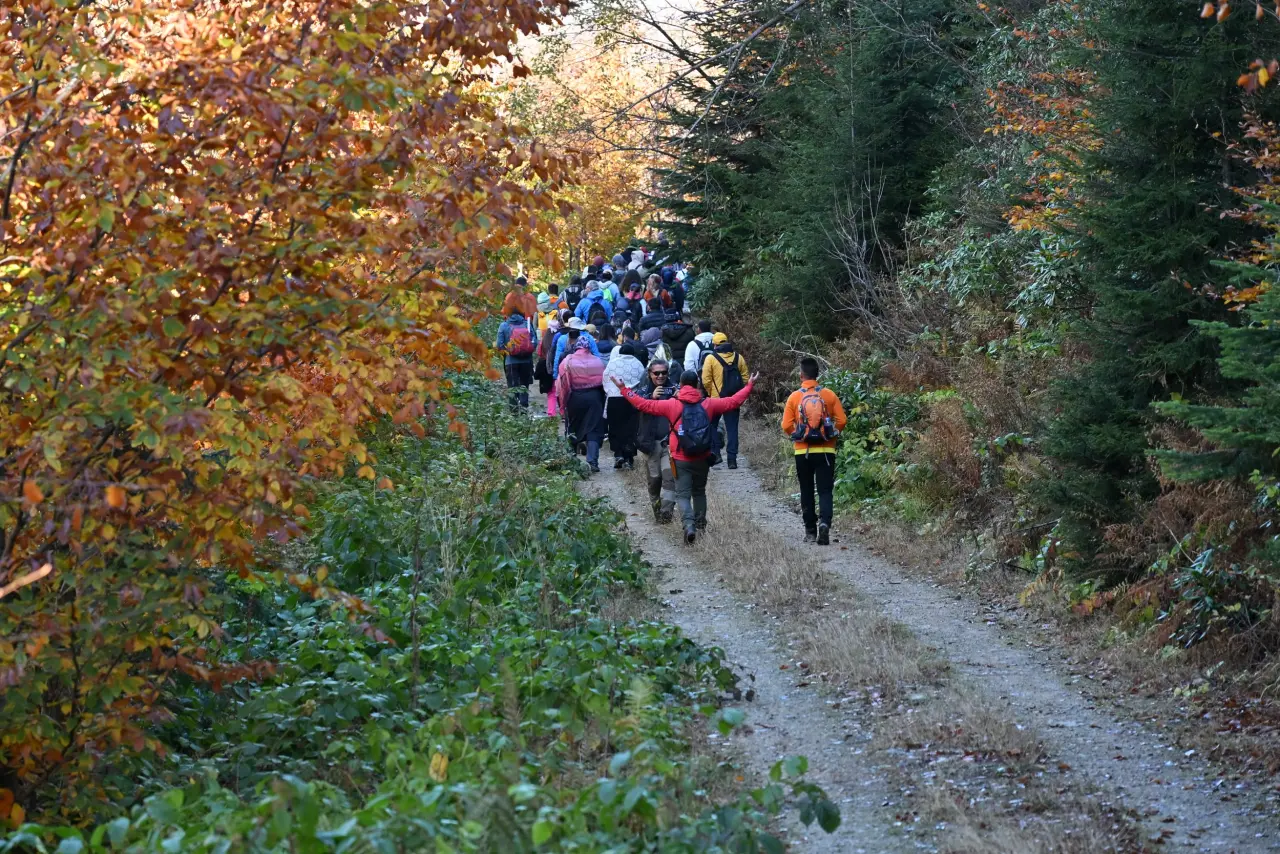 Gümüşhane'nin "Doğal Ağaç Müzesi” ziyaretçi akınına uğradı 31