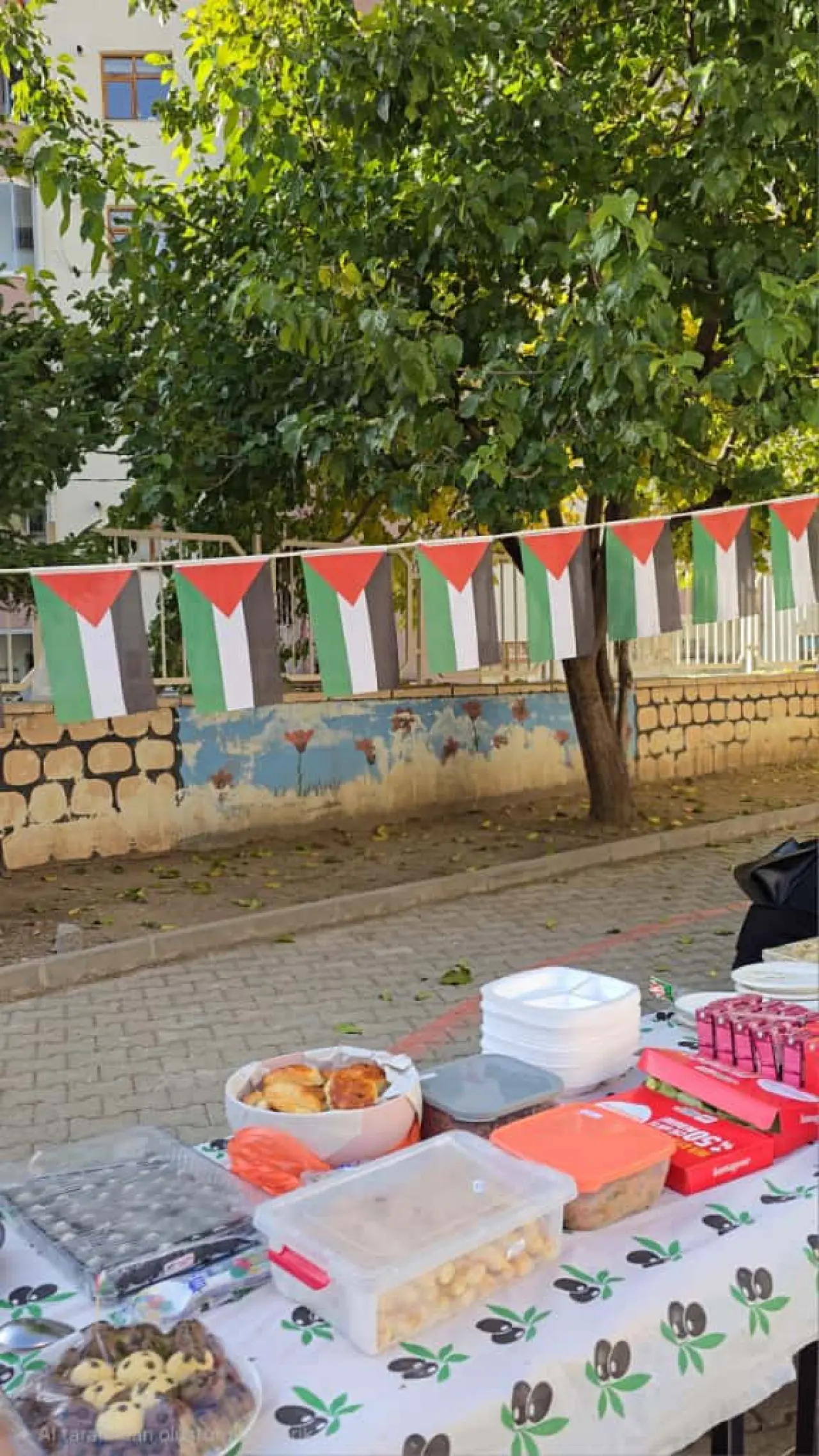 Aysın Rafet Ataç İlkokulu'ndan Filistin'e Rekor Destek: 2.5 Saatte 87.410 TL! 8