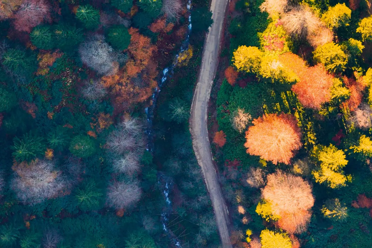 Gümüşhane'nin "Doğal Ağaç Müzesi” ziyaretçi akınına uğradı 12