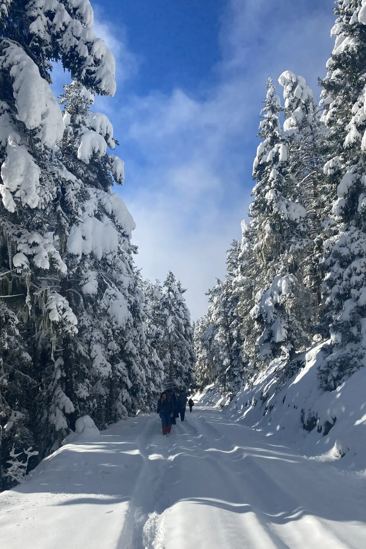 Gümüşhane’de kartpostallık doğa yürüyüşü 9