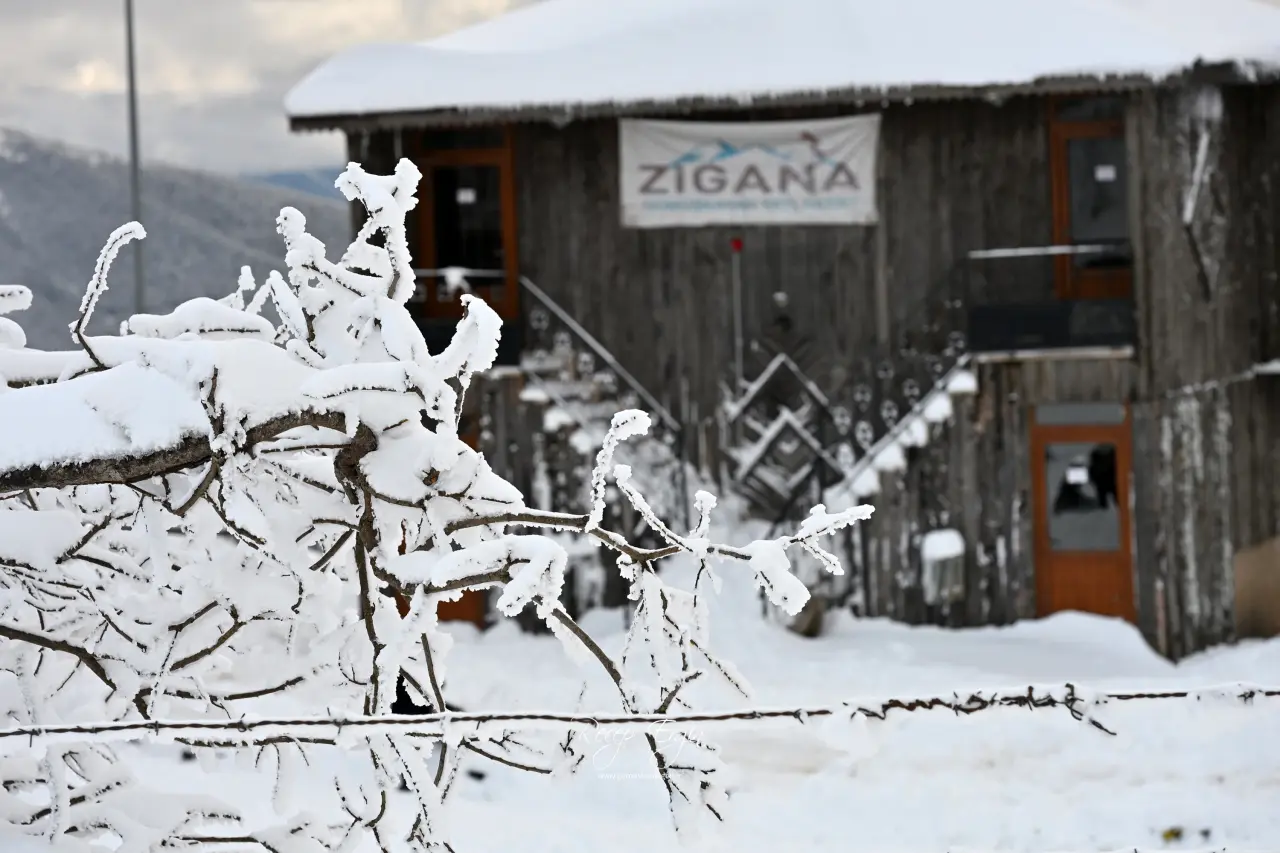 Kayak için kar yetmedi ama 'kar hasreti' yetti 5