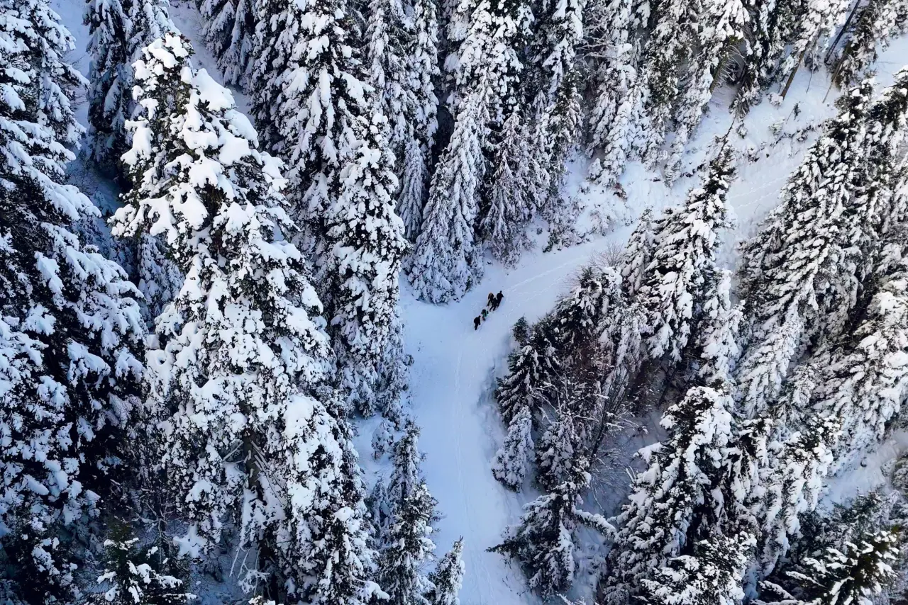 'Manzara On Numara!' Gümüşhane’de Şehrin Gürültüsünden Kaçanlar Torul’un Zirvesinde Buluştu! 32