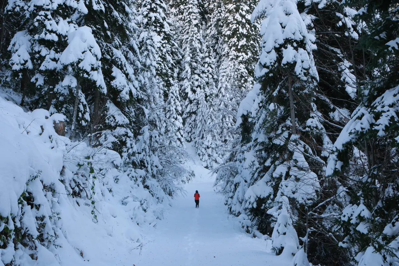 'Manzara On Numara!' Gümüşhane’de Şehrin Gürültüsünden Kaçanlar Torul’un Zirvesinde Buluştu! 7
