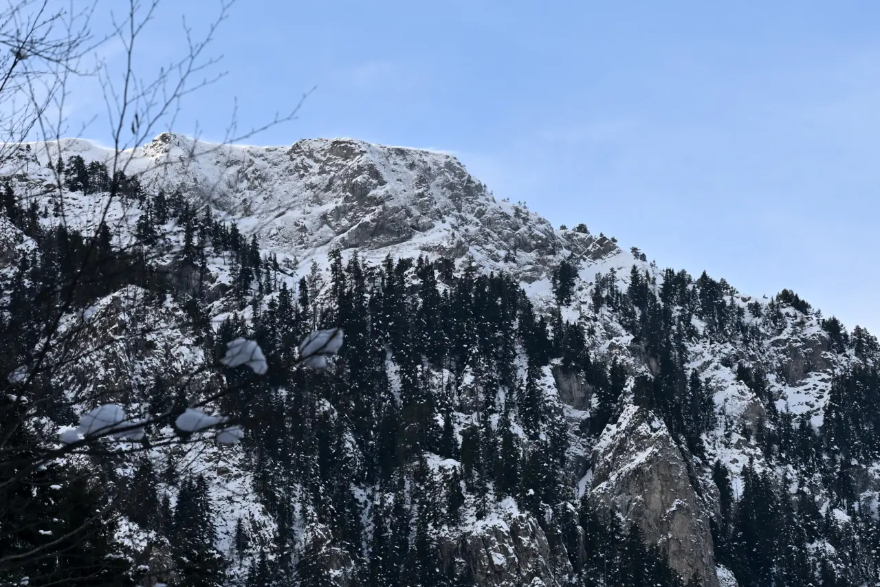 'Manzara On Numara!' Gümüşhane’de Şehrin Gürültüsünden Kaçanlar Torul’un Zirvesinde Buluştu! 22
