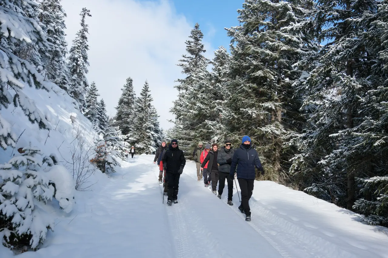 Gümüşhane’de kış masalı: 2 bin metre yükseklikte muhteşem görüntüler 8