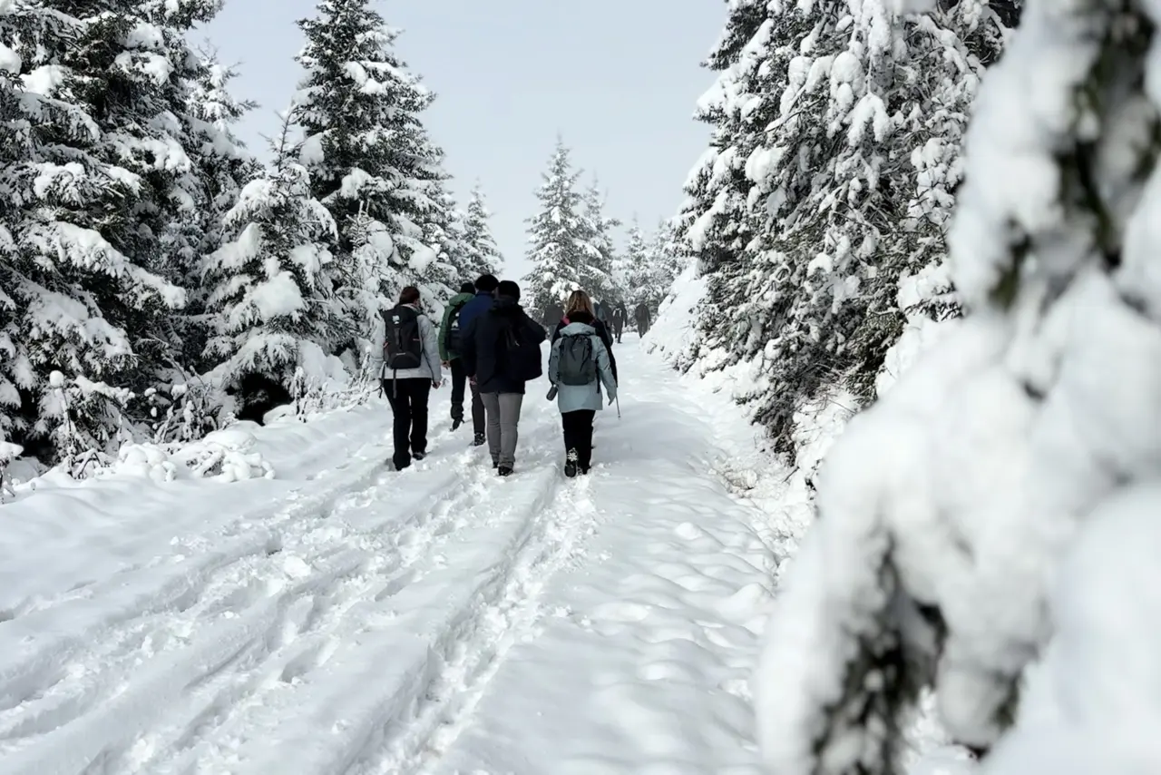 Gümüşhane’de kartpostallık doğa yürüyüşü 16