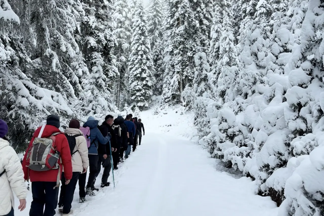 Gümüşhane’de kartpostallık doğa yürüyüşü 19